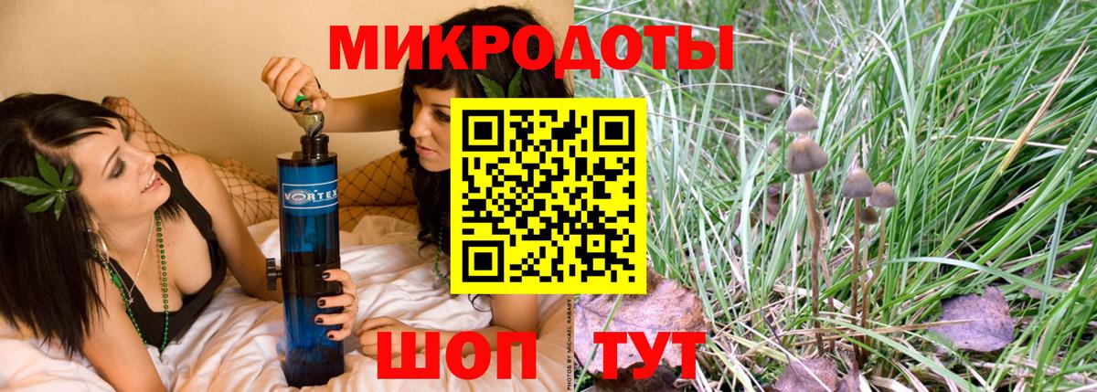 Псилоцибиновые грибы GOLDEN TEACHER  Вход с VPN  Мончегорск 