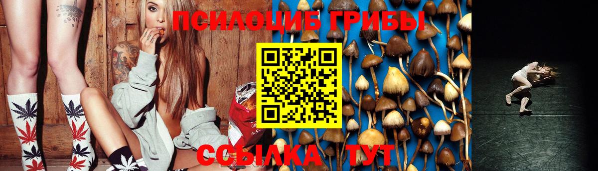 Псилоцибиновые грибы мицелий Мончегорск